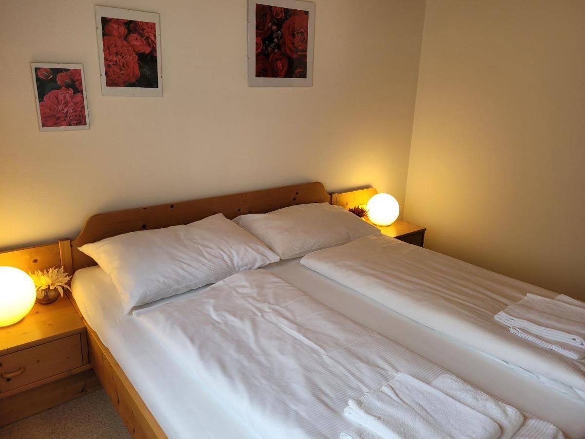 Profelt'S Apartments Uttendorf - Steinbock Lodges Екстериор снимка